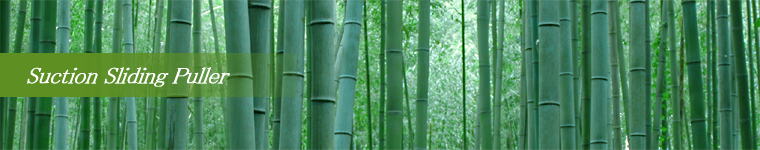 �f���g���y�A���C